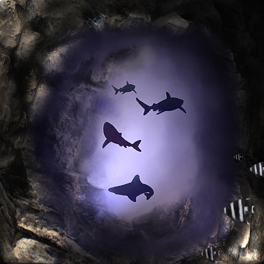 The Cave Down Under Digital Art by Artful Oasis