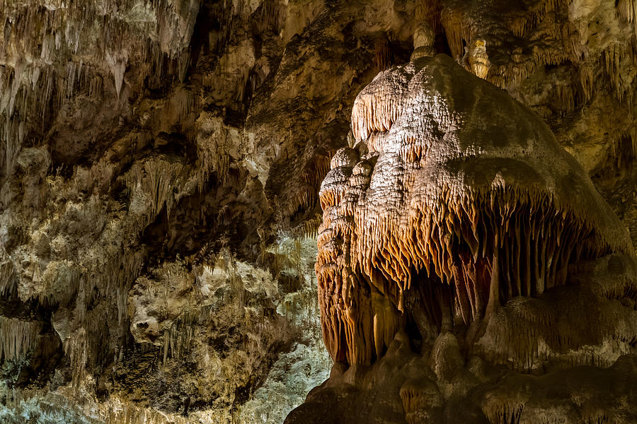 The Caveman of Carlsbad Photograph by Ron Pate