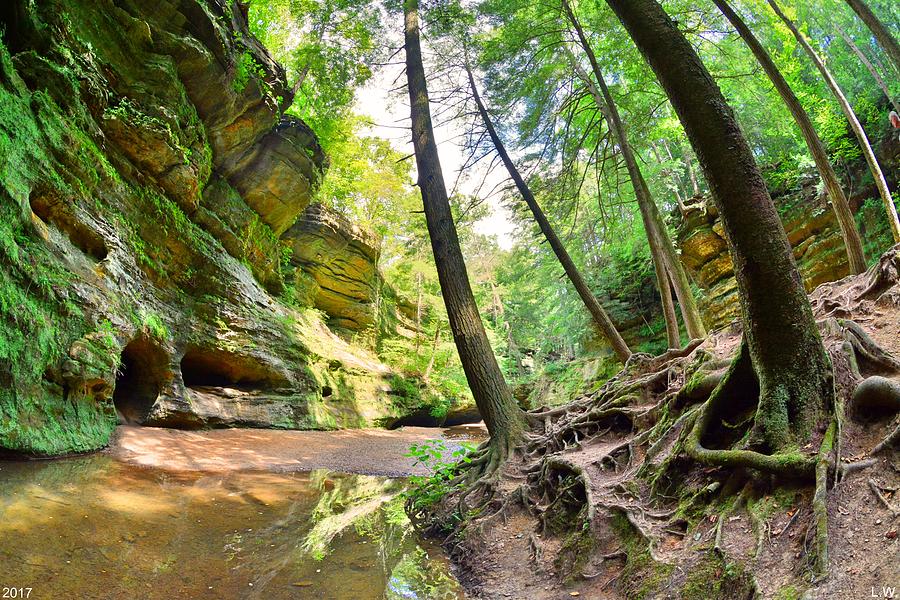 The Caves And Trail At Old Mans Cave Hocking Hills Ohio Photograph by Lisa Wooten