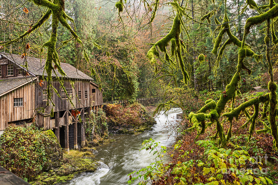 The Cedar Creek Grist Mill in Washington State. Photograph by Jamie ...