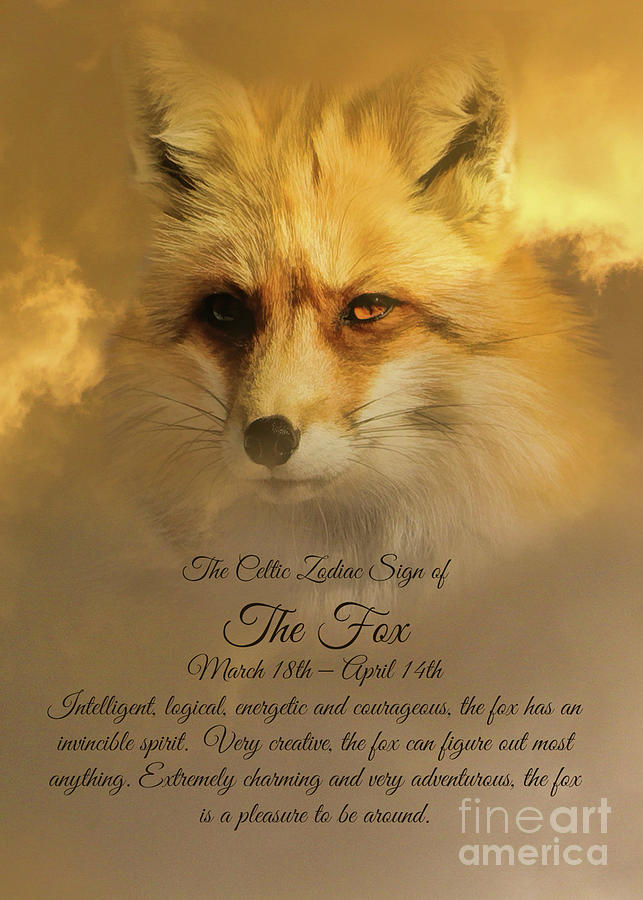 The Celtic Sign on the Fox Photograph by Stephanie Laird