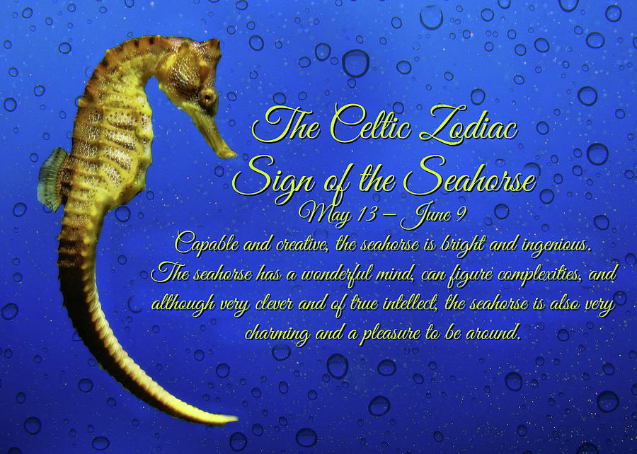 The Celtic Zodiac Sign Of The Seahorse Traditional Gemini Photograph by ...