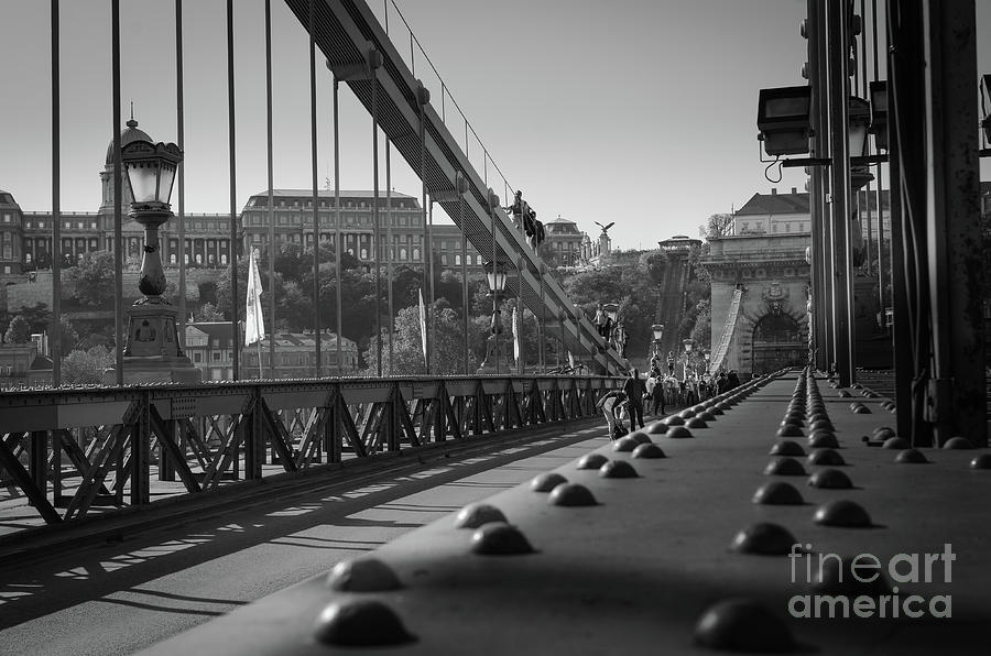 The Chain Bridge, Danube Budapest Photograph by Perry Rodriguez