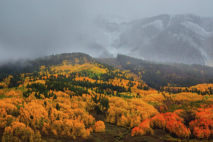 The Changing Seasons Of Colorado Photograph by John De Bord