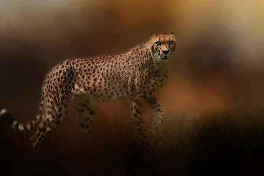 The Cheetah Mixed Media by Davandra Cribbie