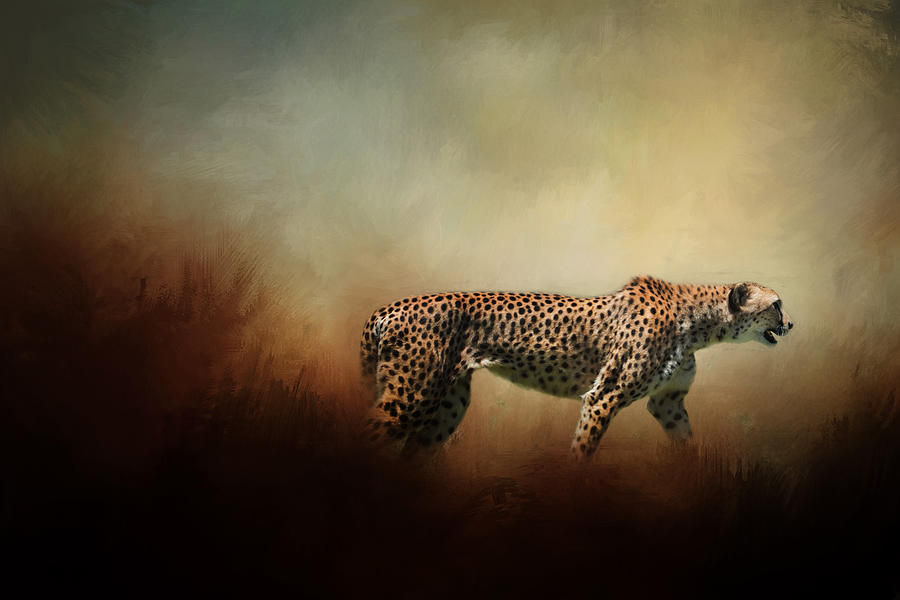 The Cheetah Photograph by David and Carol Kelly