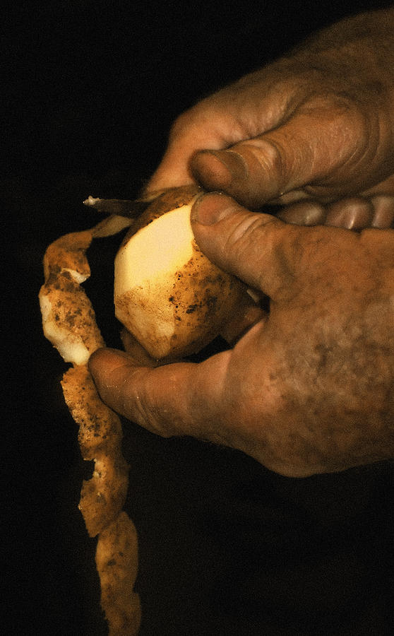 Potato Photograph - The Chef by Georgiana Romanovna