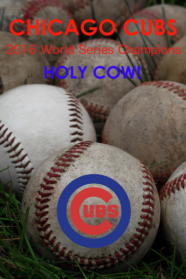 The Chicago Cubs - Holy Cow Photograph by David Patterson