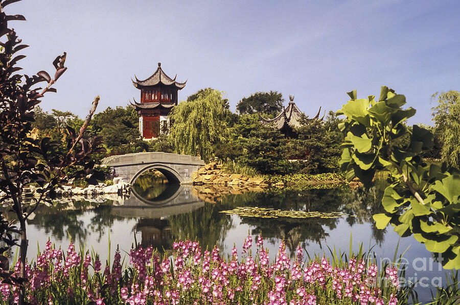 The Chinese Garden Photograph by Bob Phillips