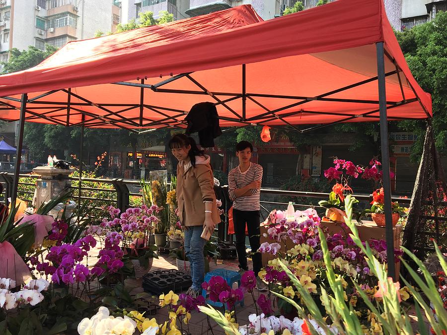 The Chinese New Year Flower market Photograph by Connie Du