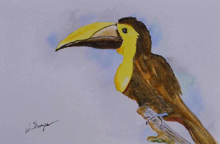 The Choco Toucan  Painting by Warren Thompson