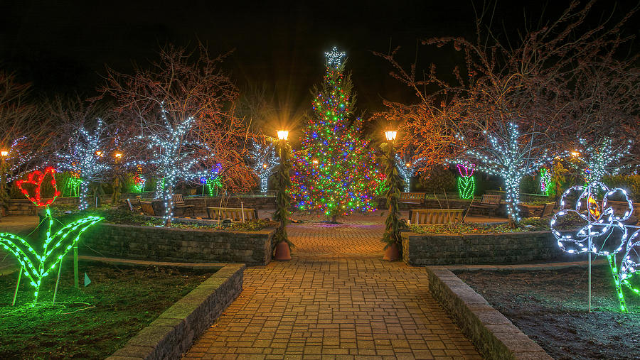 The Christmas Tree Courtyard Photograph by Angelo Marcialis