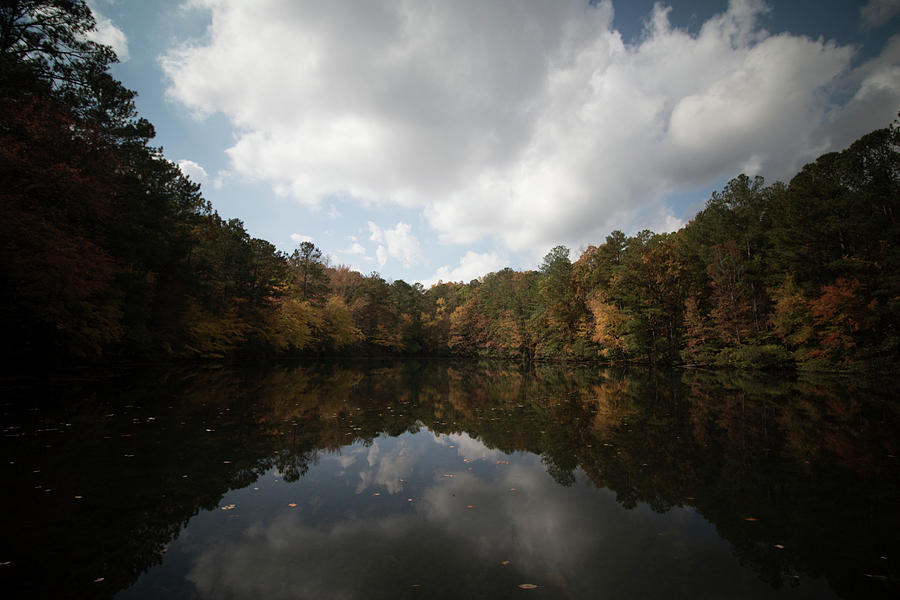 The Circle  Photograph by Mike Dunn