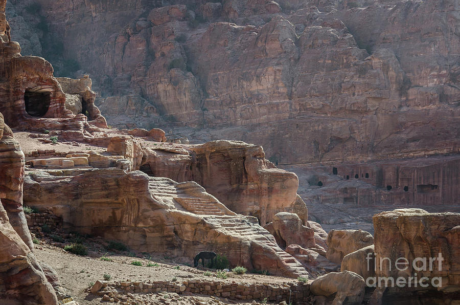 The City Of Petra, Jordan 2 Photograph by Perry Rodriguez