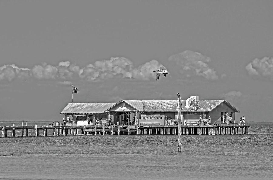 The City Pier - A Local Landmark BW   Photograph by HH Photography of Florida