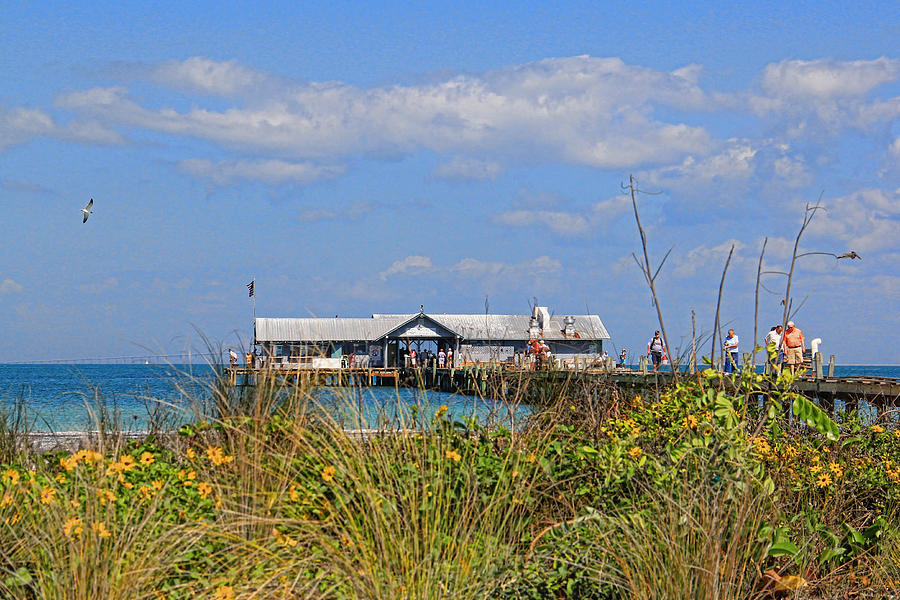 The City Pier At Anna Maria 2 Photograph by HH Photography of Florida