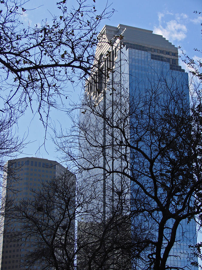 The City Through the Trees in Blue Photograph by Jean Edwards The City Through the Trees in Blue Photograph by Jean Edwards
