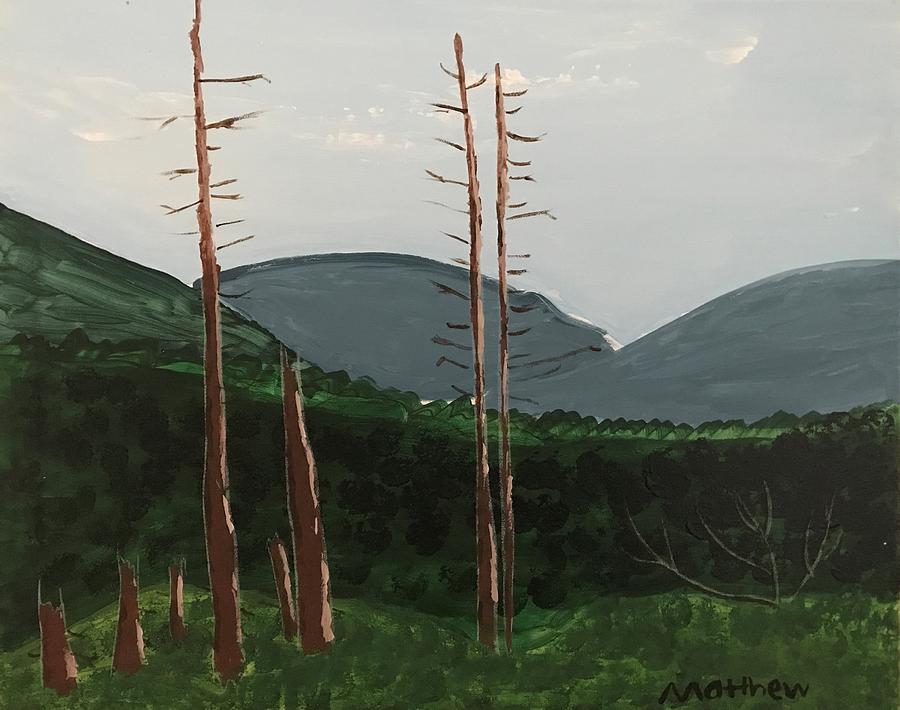 The Clearing by Matthew B The Clearing by Matthew B