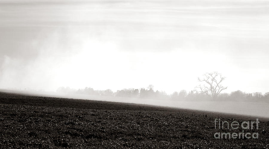 Farm Photograph - The Clearing Smoke by Olivier Le Queinec