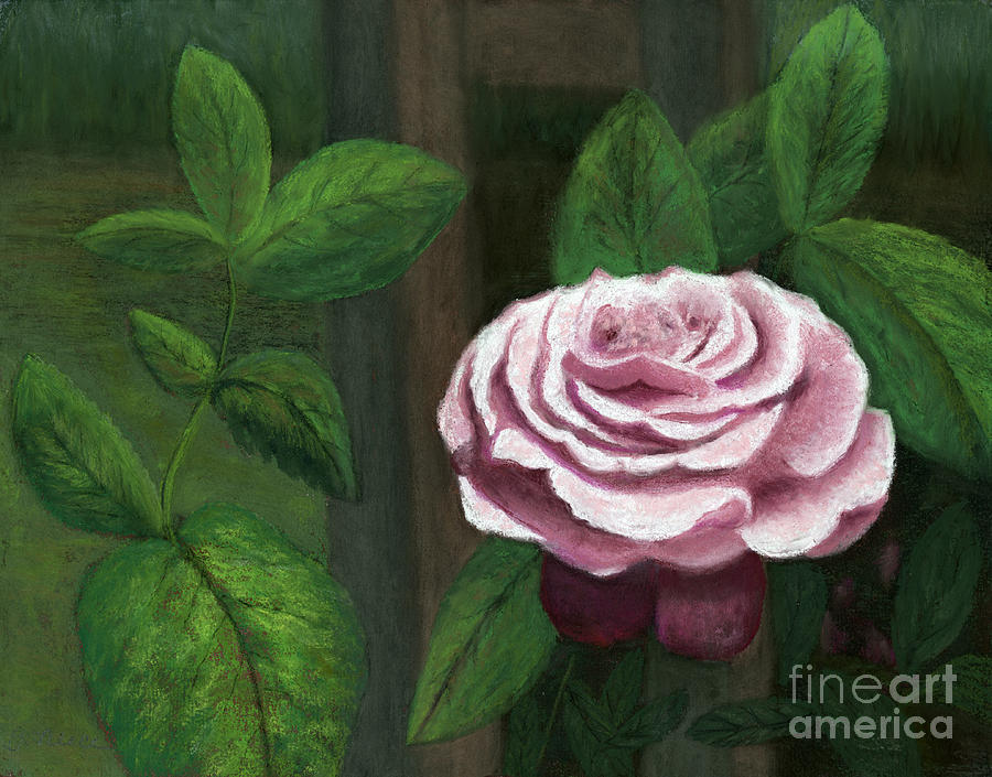 The Climbing Rose Painting by Ginny Neece