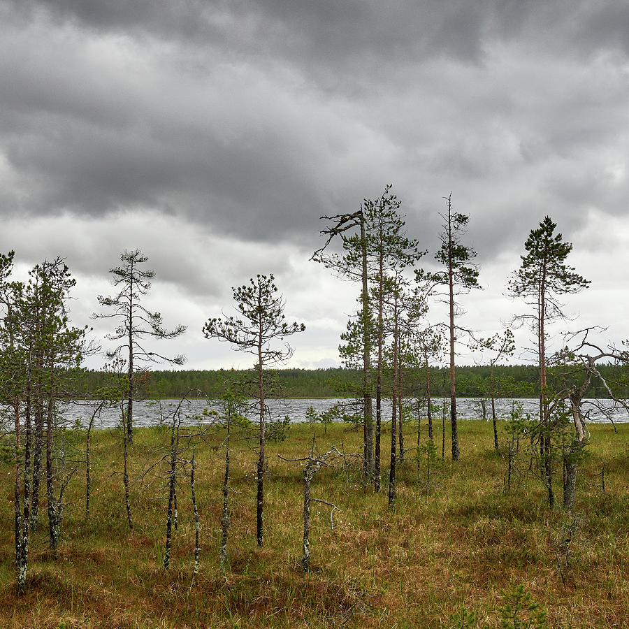 The Clouds Coming. Pieni Koirajarvi Photograph