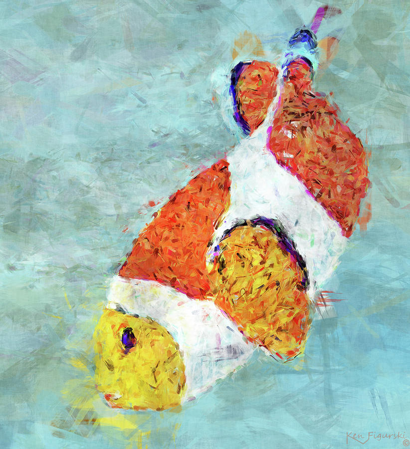 The Clown Fish Mixed Media by Ken Figurski