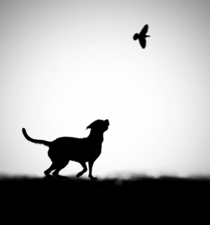 Black And White Photograph - The Clue by Hengki Lee