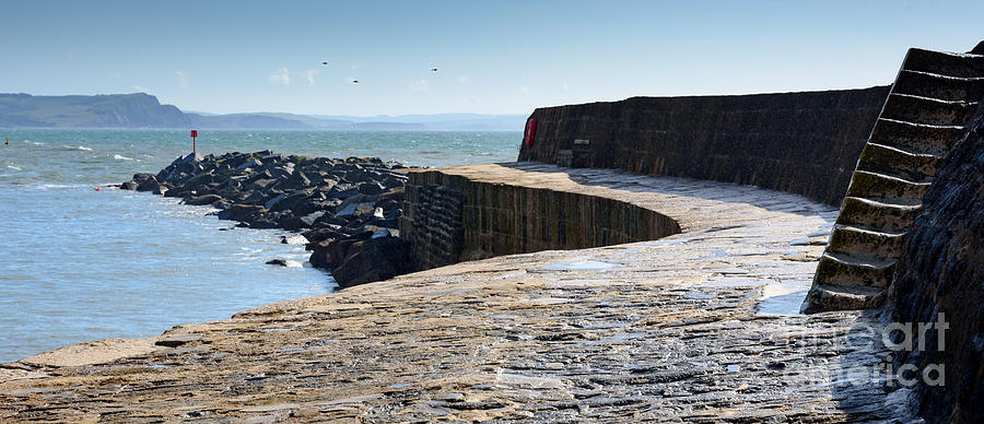 The Cobb, Lyme Regis Photograph by Colin Rayner