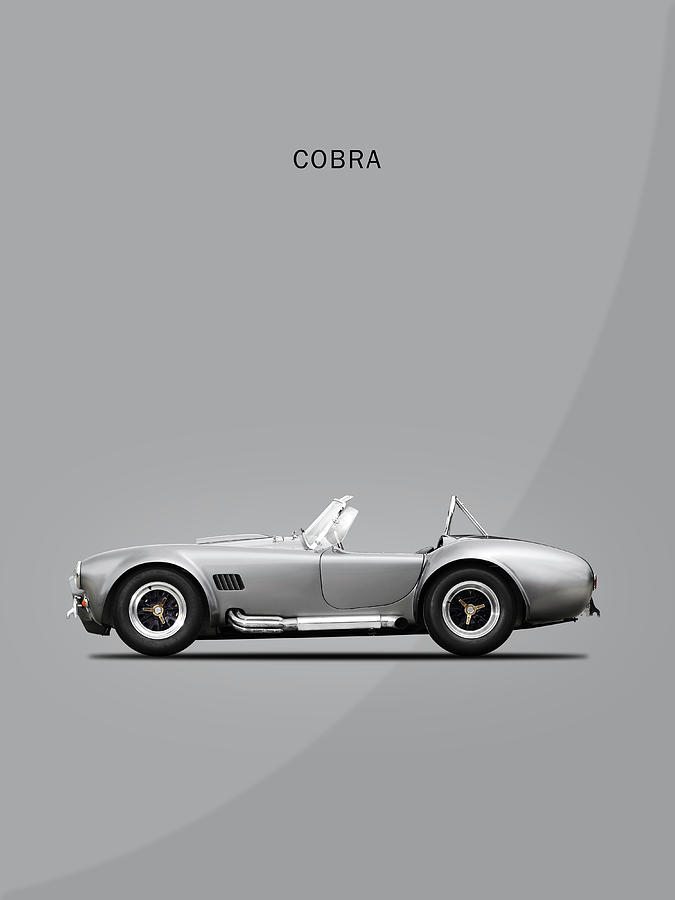 Cobra Photograph - The Cobra by Mark Rogan