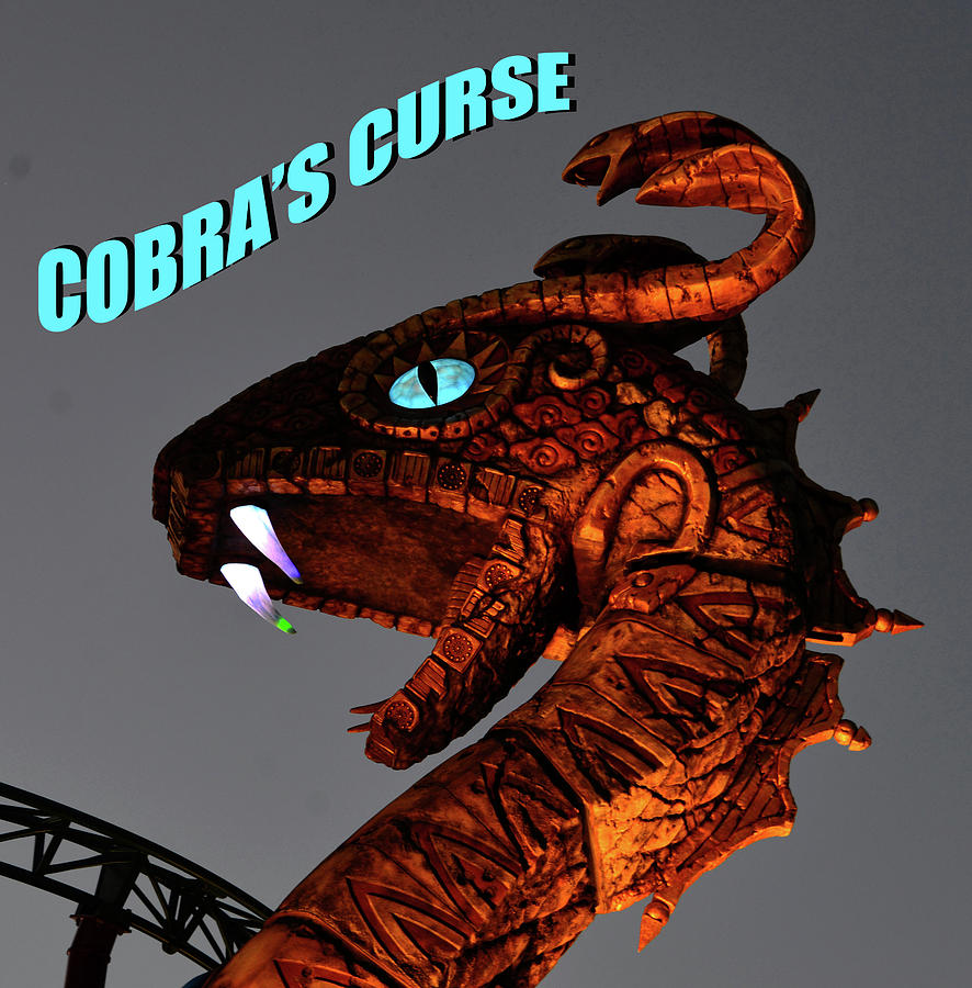 The Cobras Curse pw #1 Photograph by David Lee Thompson