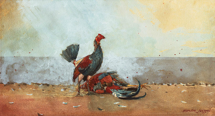 The Cock Fight Painting by Winslow Homer