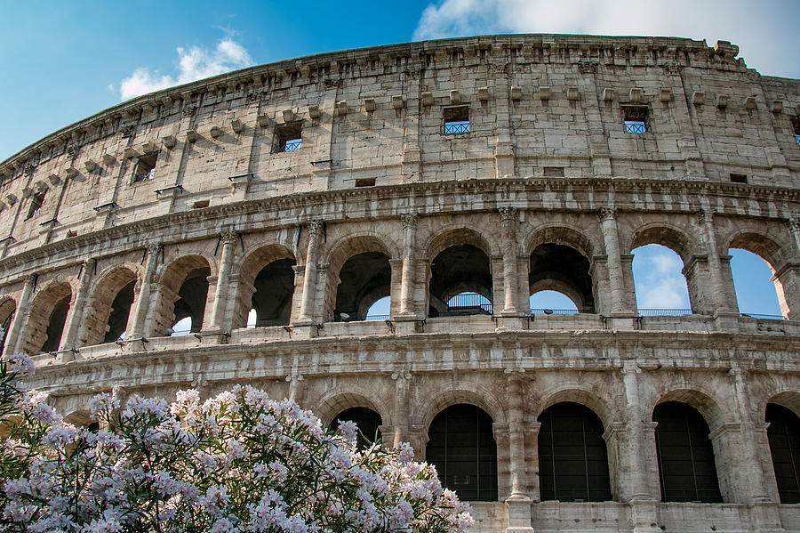 The Coliseum in Rome Photograph by Kathleen Scanlan