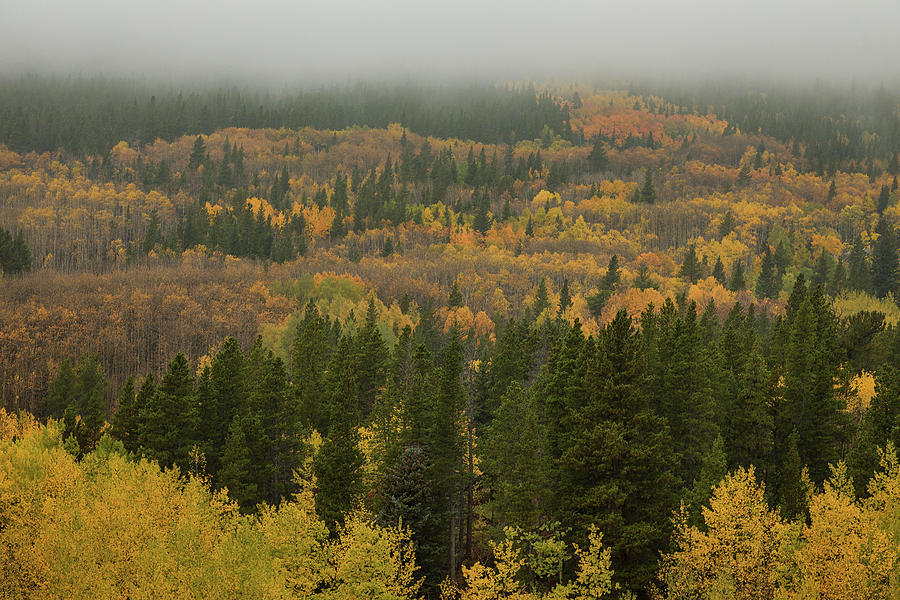 The Color in Colorful Colorado Photograph by James BO Insogna
