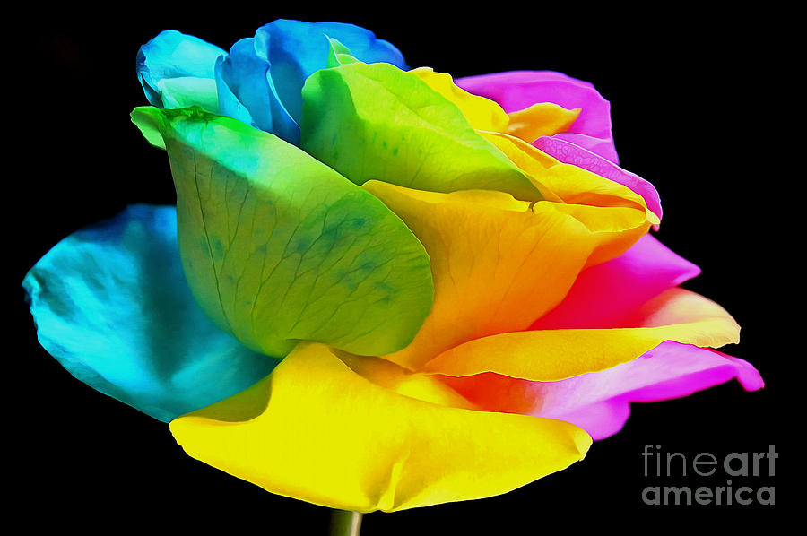 Rose Photograph - The Color Of Love by Krissy Katsimbras