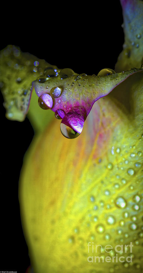The Color Of Rain Photograph by Mitch Shindelbower
