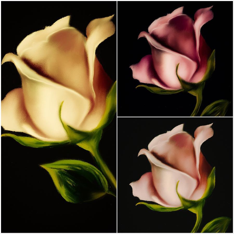 THE COLOR Of ROSES Digital Art by Michele Koutris