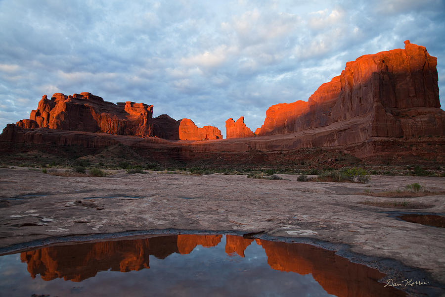 Arches National Park Photograph - The Color Of Sunrise in Arches by Dan Norris
