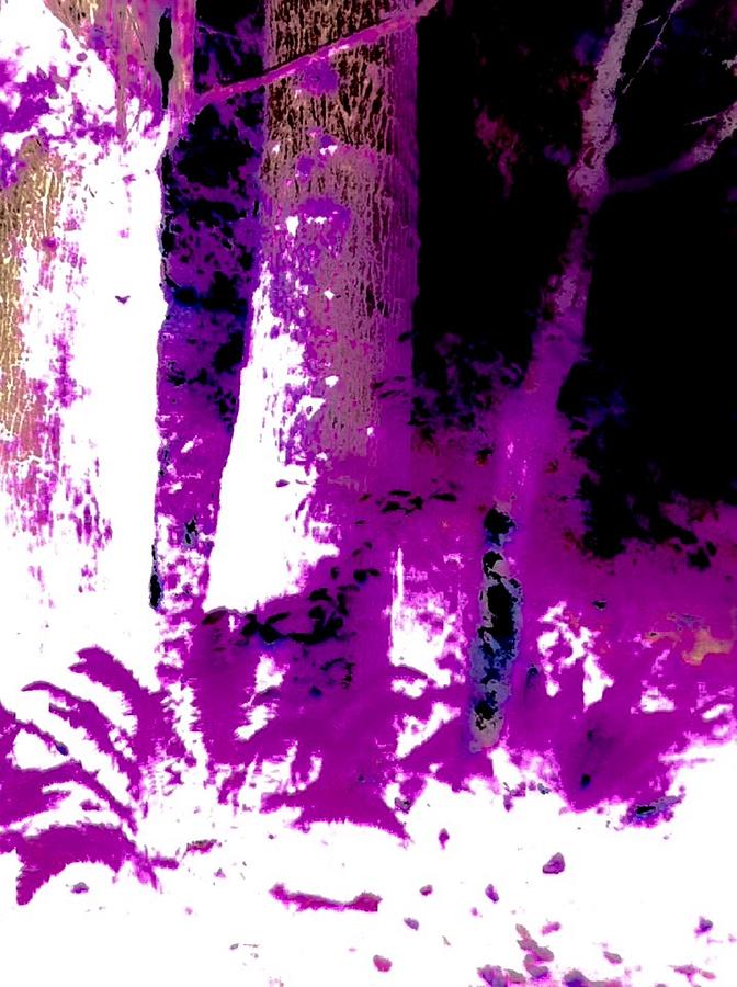 The Color Purple Forest Mixed Media by Jennifer Lake