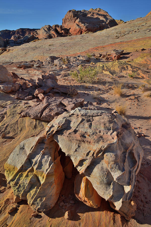 The Colorful Formations Of Valley Of Fire State Park Photograph