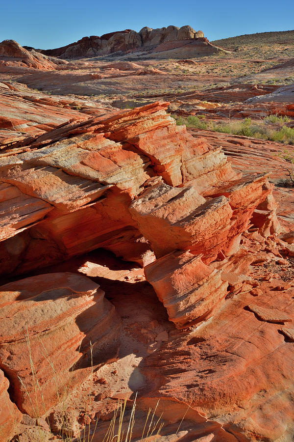 The Colorful Sandstone Shapes of Valley of Fire Photograph by Ray Mathis