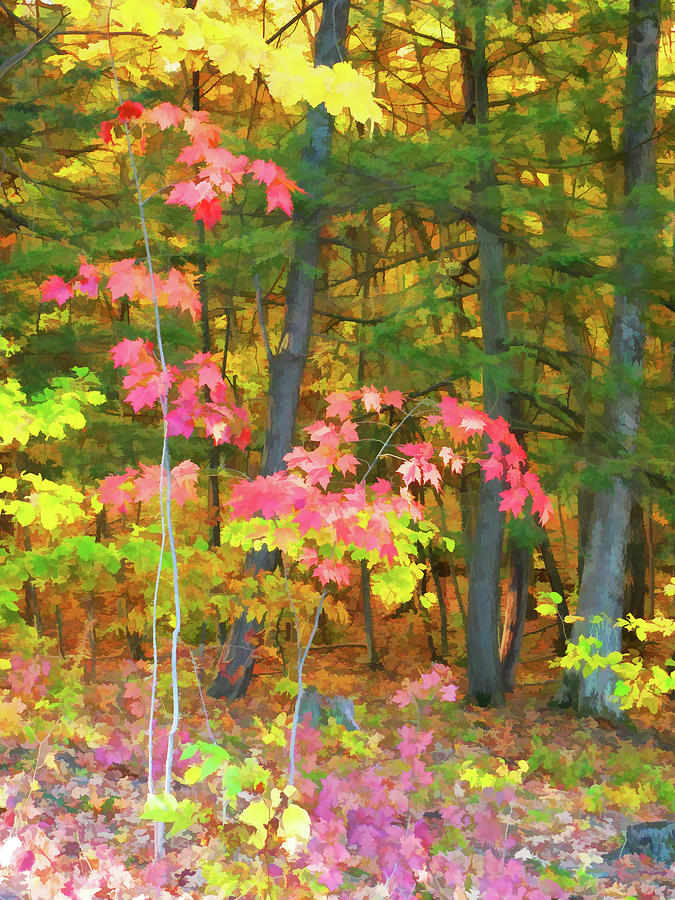 The colors of an autumn forest Painting by Jeelan Clark