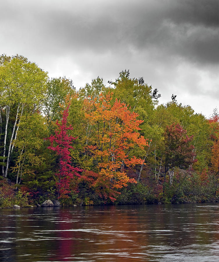 The Colors Of Autumn - Maine Photograph by Brendan Reals