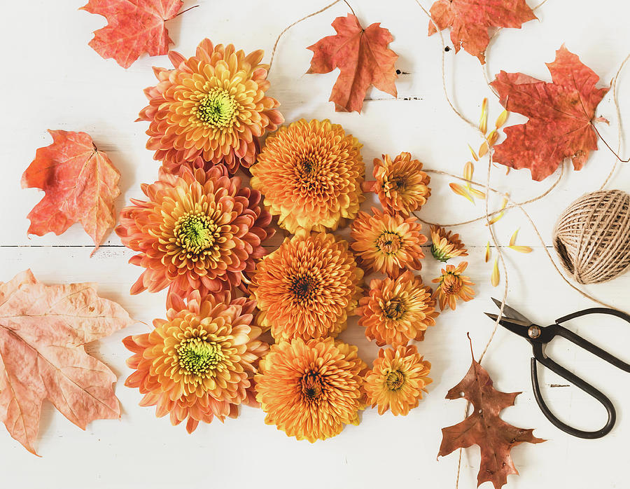 The Colors of Autumn Photograph by Kim Hojnacki The Colors of Autumn Photograph by Kim Hojnacki