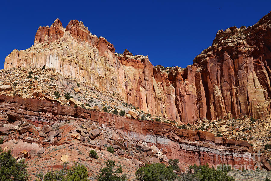 The Colors of Capitol Reef Photograph by Marty Fancy