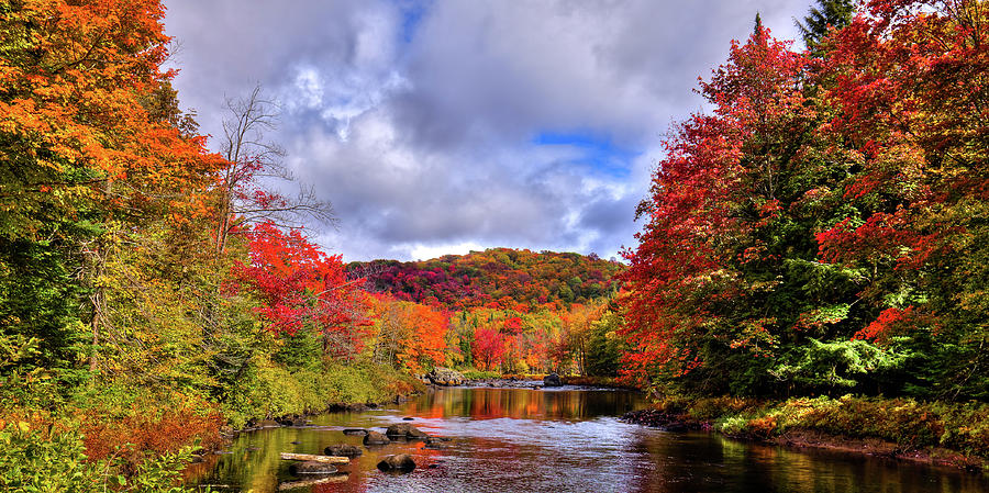 The Colors of Fall on the Moose River Photograph by David Patterson