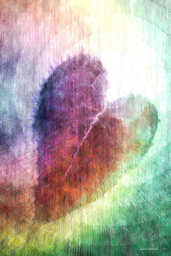 The Colors of Her Heart Digital Art by Linda Sannuti
