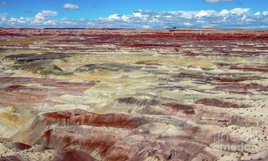 The Colors of the Little Painted Desert Photograph by Stephen Whalen