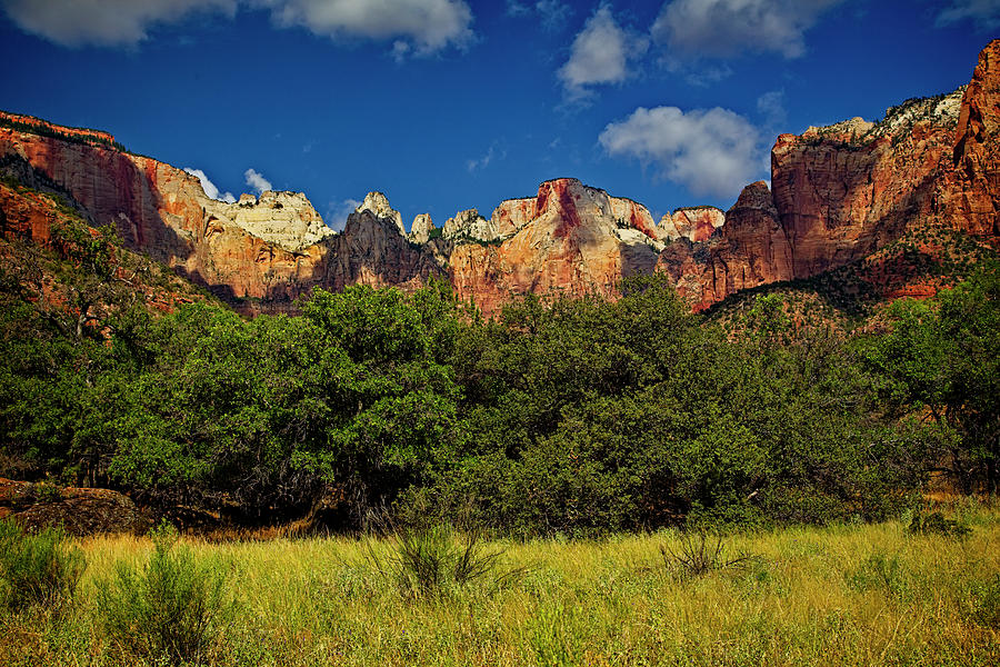 The Colors of Zion Photograph by Levin Rodriguez