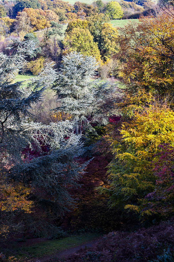 The Colours of Autumn Photograph by Andy Myatt