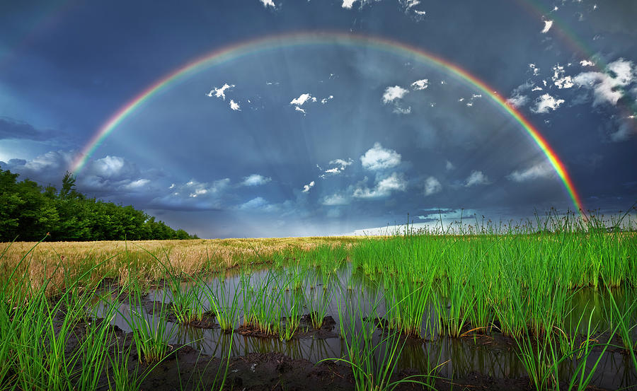 The Colours of the Rainbow Photograph by Dan Jurak